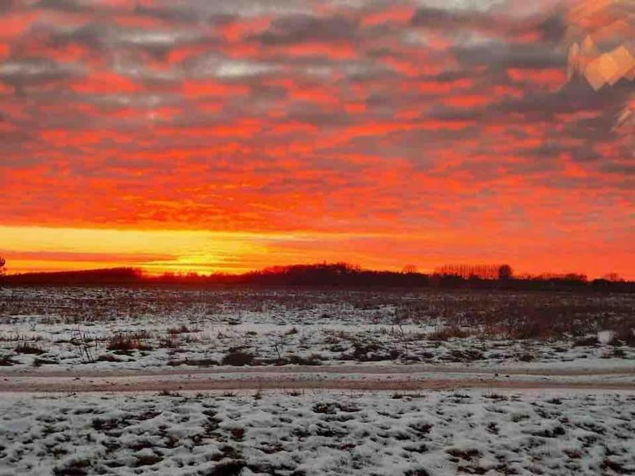Kongsholmlund. Enjoy The Countryside. Daire Vejby Dış mekan fotoğraf