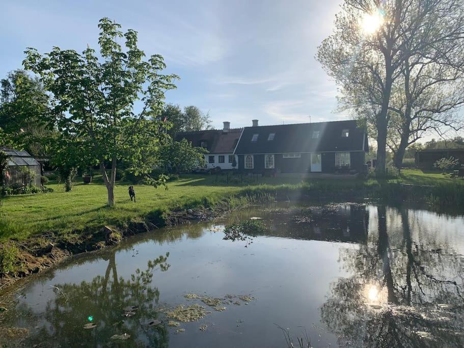 Kongsholmlund. Enjoy The Countryside. Daire Vejby Dış mekan fotoğraf